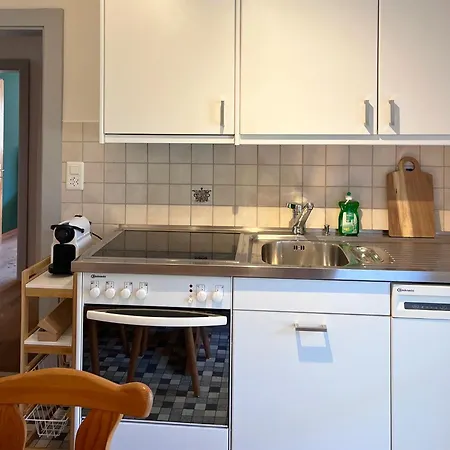 Alpengarten Appartement Sedrun